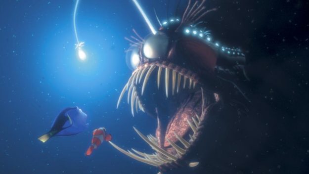 anglerfish